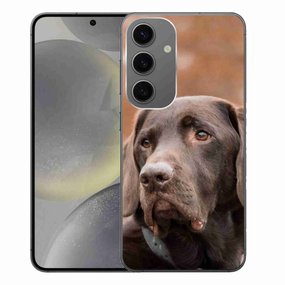 Gél tok mmCase Samsung Galaxy S24+ készülékhez - barna labrador