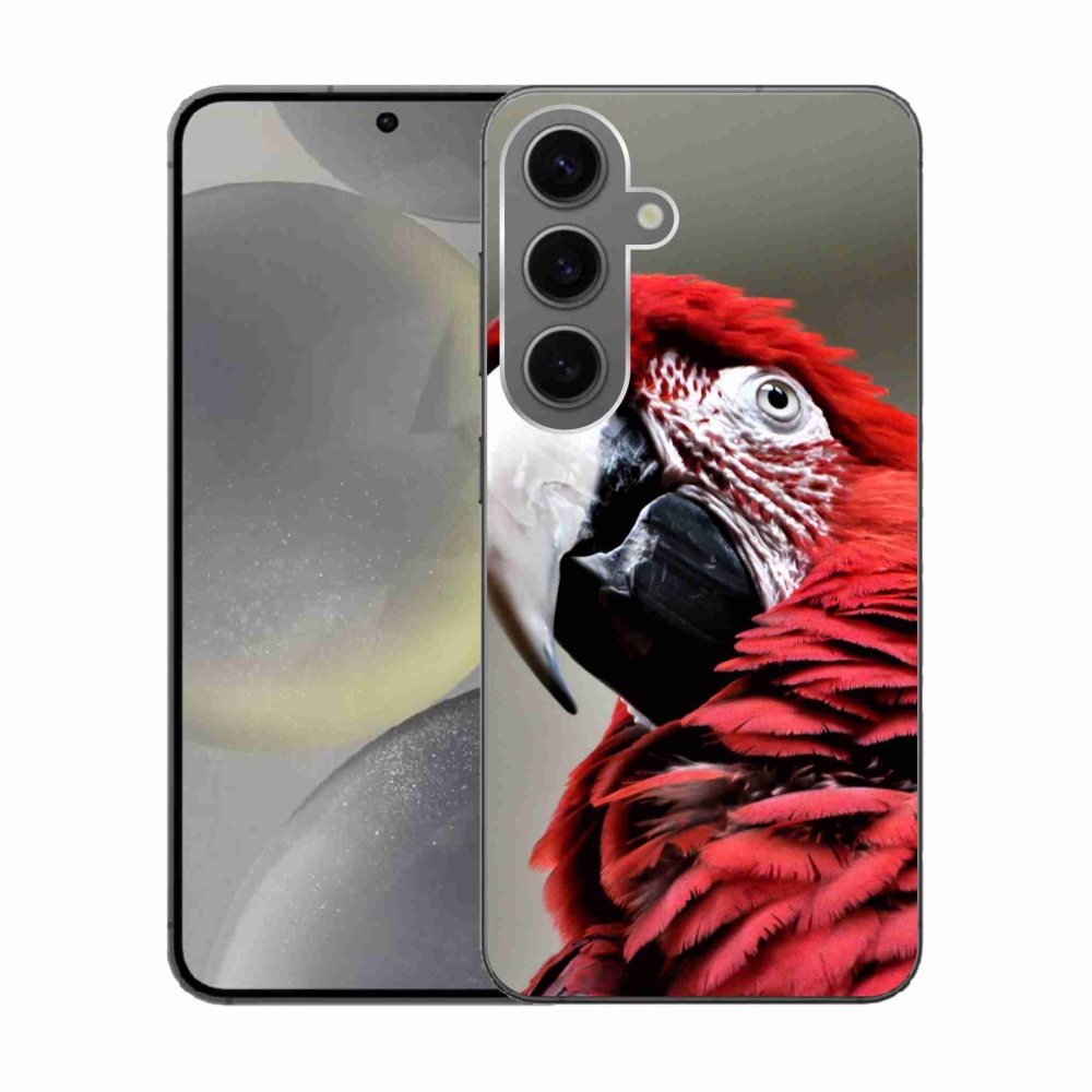 Gél tok mmCase Samsung Galaxy S24 készülékhez - papagáj ara piros