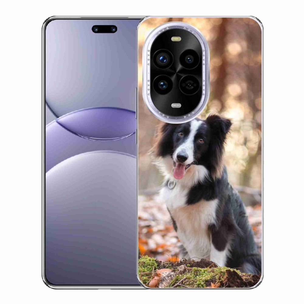 Gél borító mmCase a Huawei Nova 13 Pro 5G-hez - border colie 1