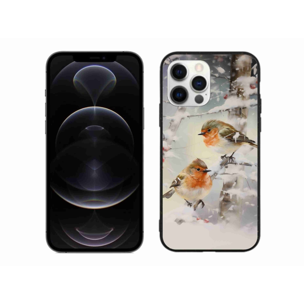 Gél borítás mmCase iPhone 12 Pro Max készülékhez - madarak télen