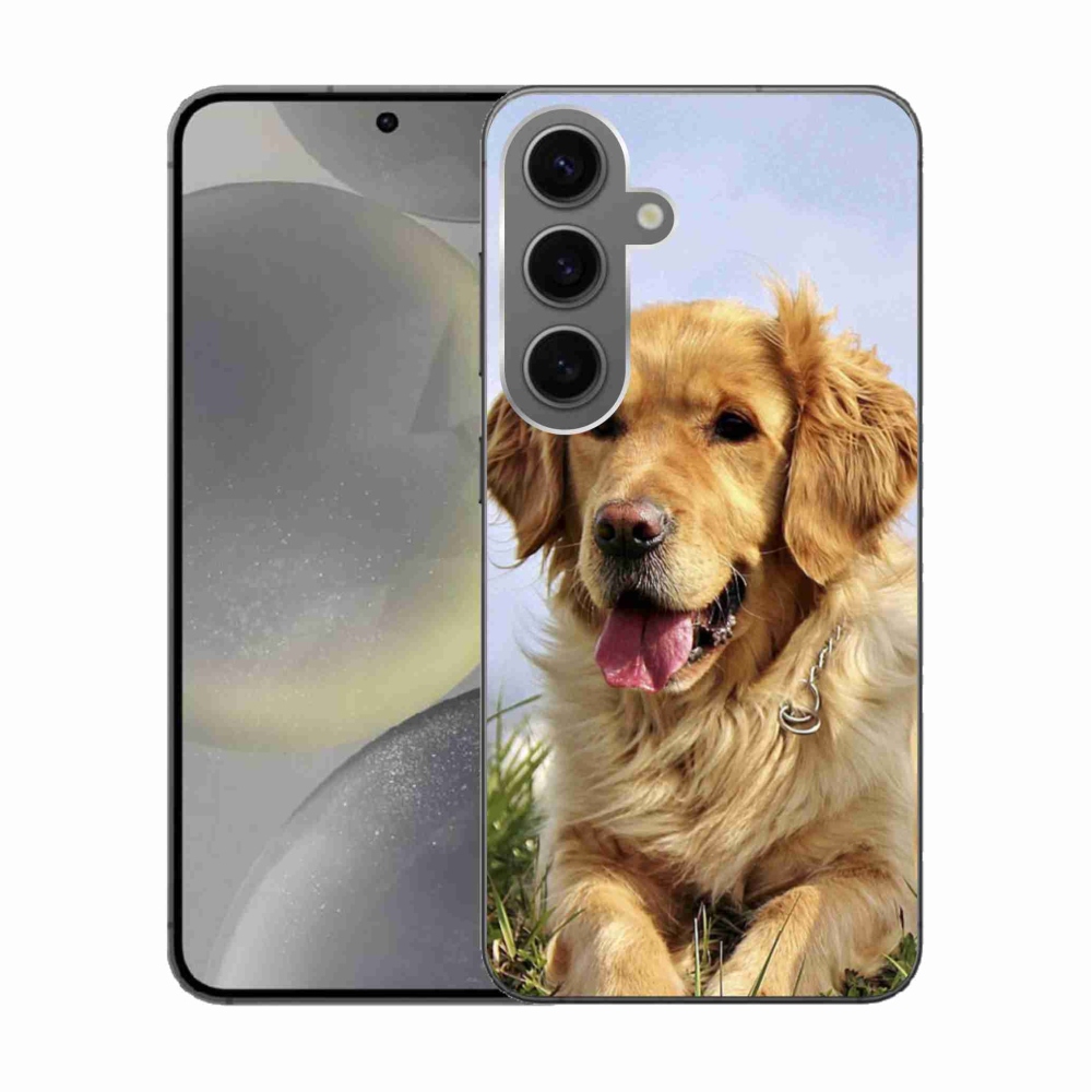 Gél tok mmCase Samsung Galaxy S24 készülékhez - arany retriever