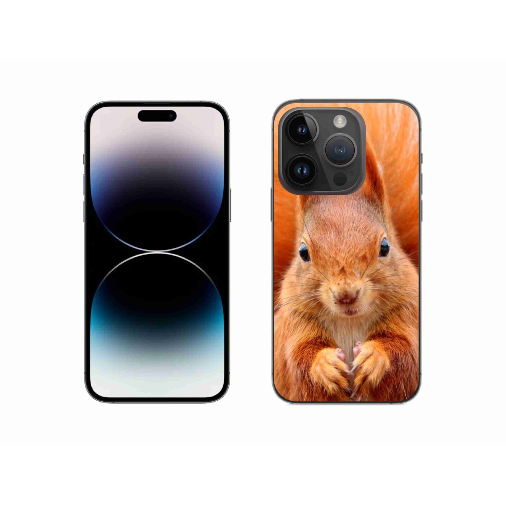 Zselés borítás mmCase iPhone 14 Pro készülékhez - mókus