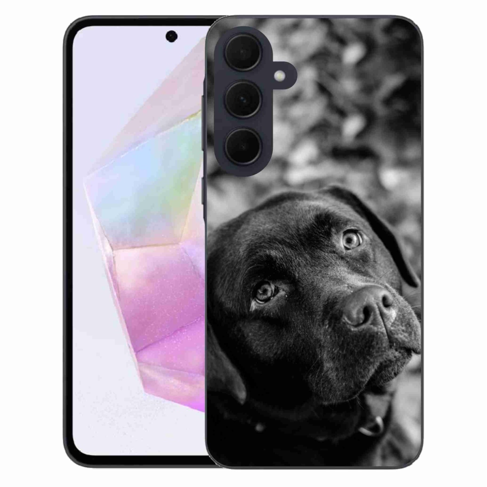 Gél tok mmCase a Samsung Galaxy A35 5G készülékhez - labrador színű