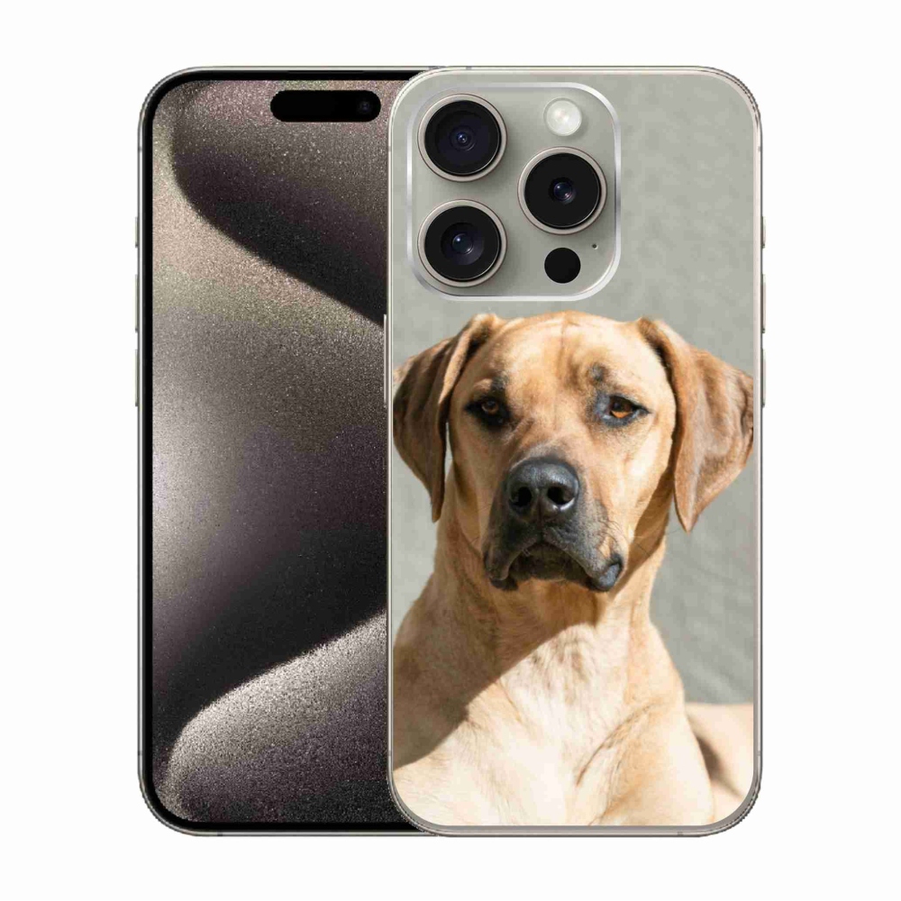 Zselés borítás mmCase iPhone 15 Pro készülékhez - ridgeback