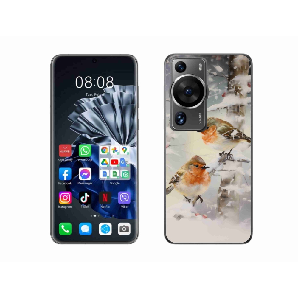 Gél borítás mmCase a Huawei P60 Pro számára - madarak télen