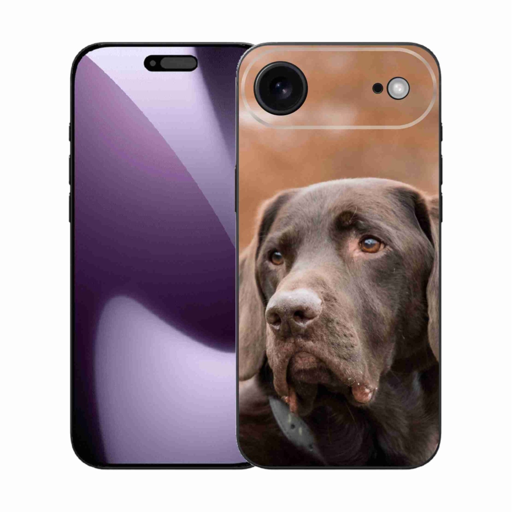 Zselés borítás mmCase iPhone 17 Air készülékhez - barna labrador