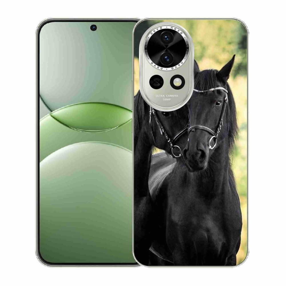Gél borító mmCase a Huawei Nova 13 5G-n - két fekete ló