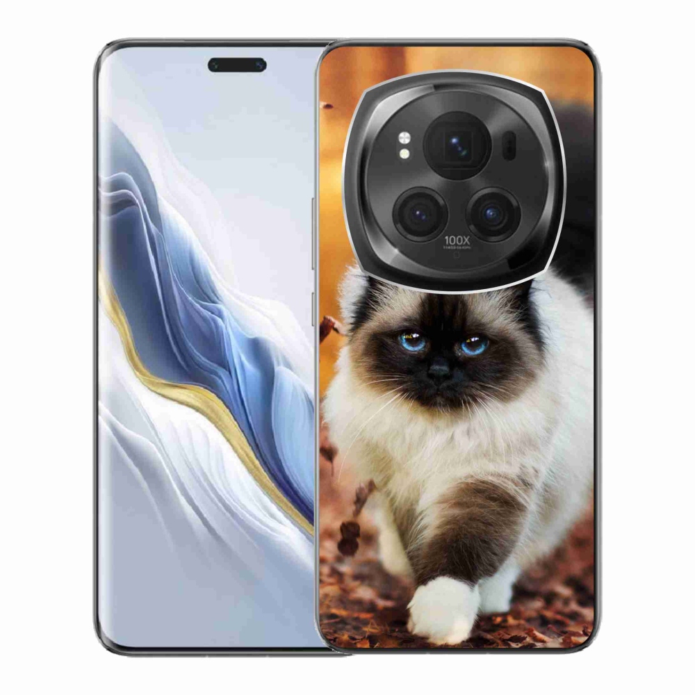 Gél tok mmCase a Honor Magic 6 Pro 5G készülékhez - macska