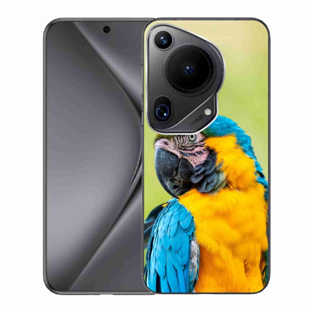 Gél tok mmCase a Huawei Pura 70 Ultra számára - papagáj ara 2