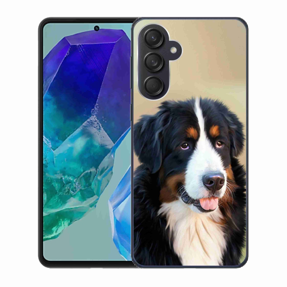 Gél tok mmCase Samsung Galaxy M55 5G - Berni Hegyi Kutya számára