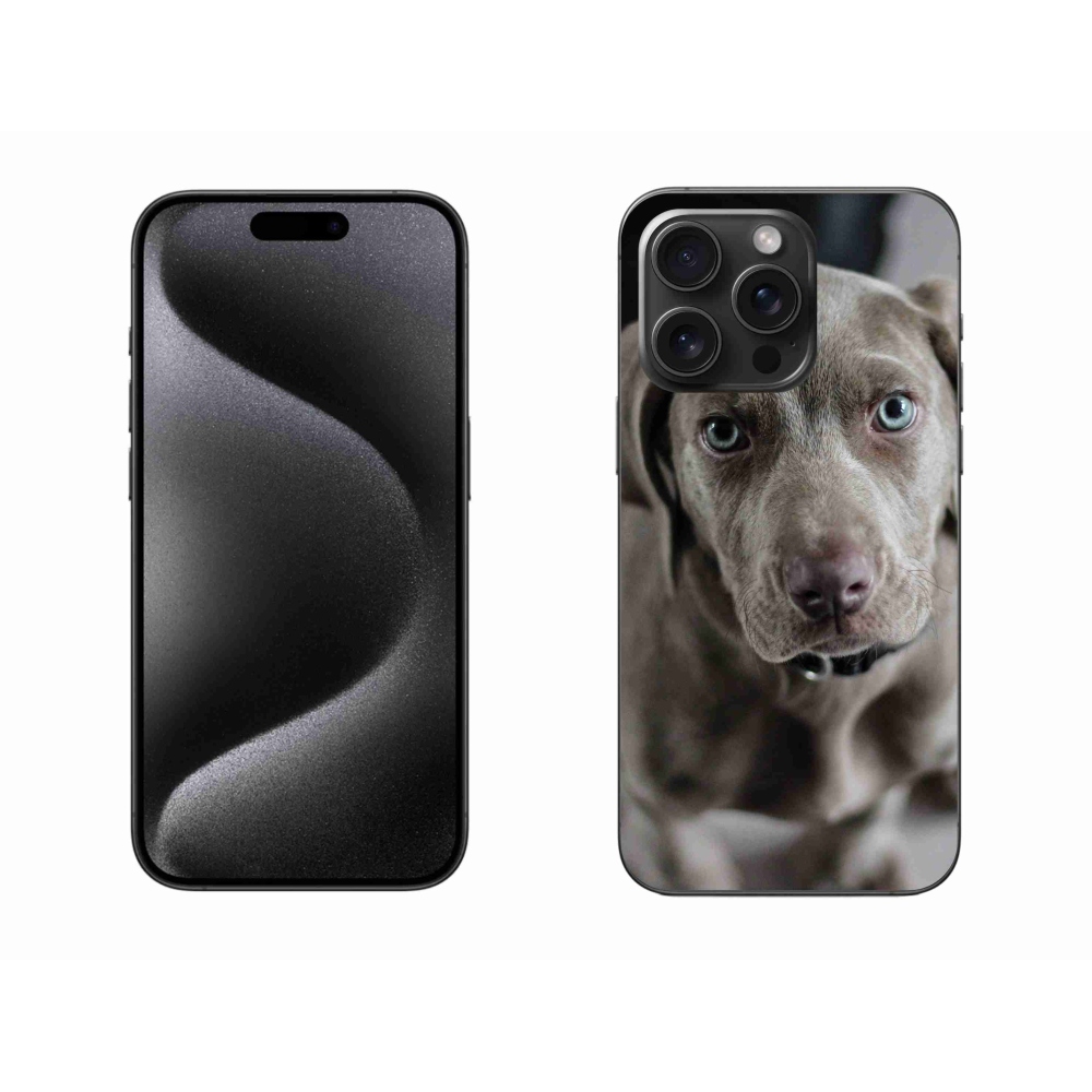 Gél tok mmCase iPhone 15 Pro Max készülékhez - Exotic Pointer
