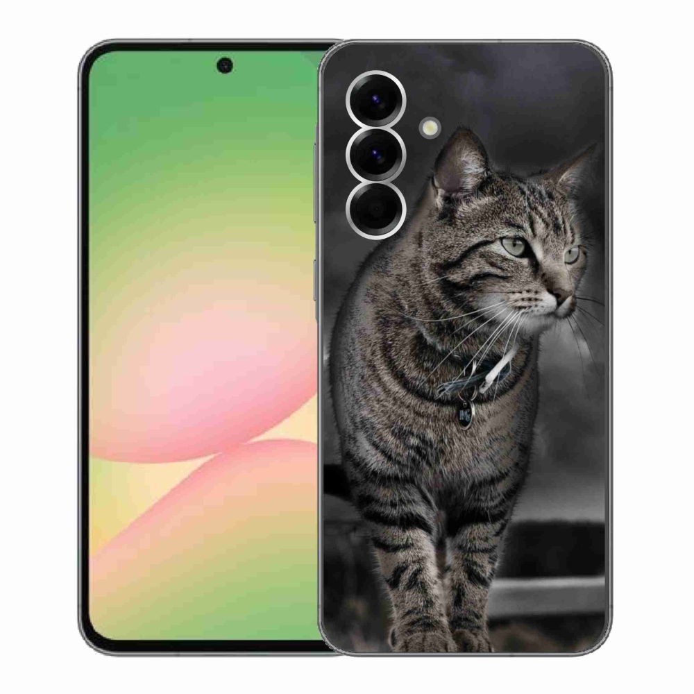 Zselés borítás mmCase Samsung Galaxy A56 5G - macska