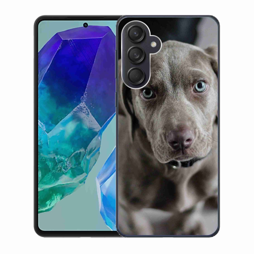 Gél tok mmCase a Samsung Galaxy M55 5G készülékhez - vymarský ohař