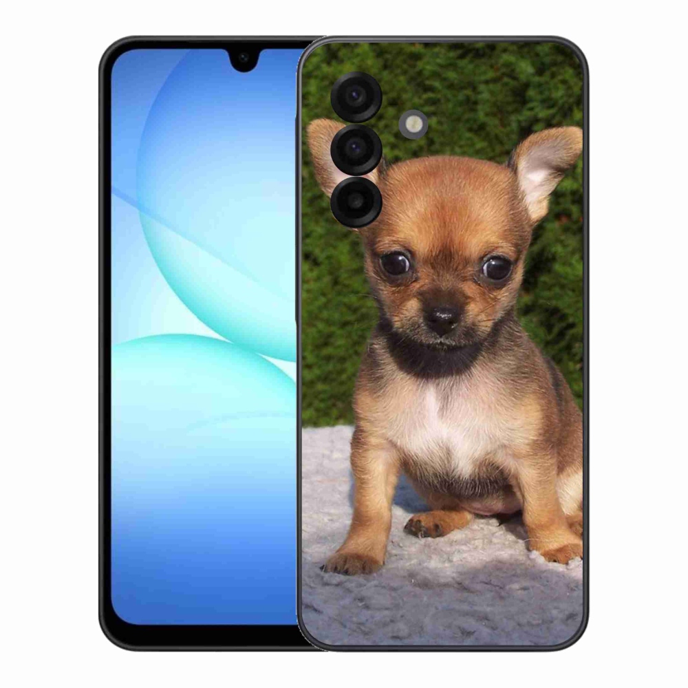 Gél borítás mmCase Samsung Galaxy A17 5G - chihuahua 3