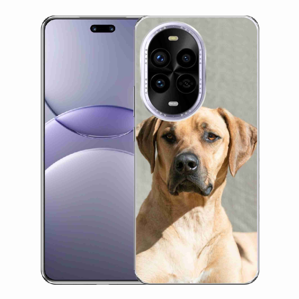 Gél borítás mmCase a Huawei Nova 13 Pro 5G-n - ridgeback