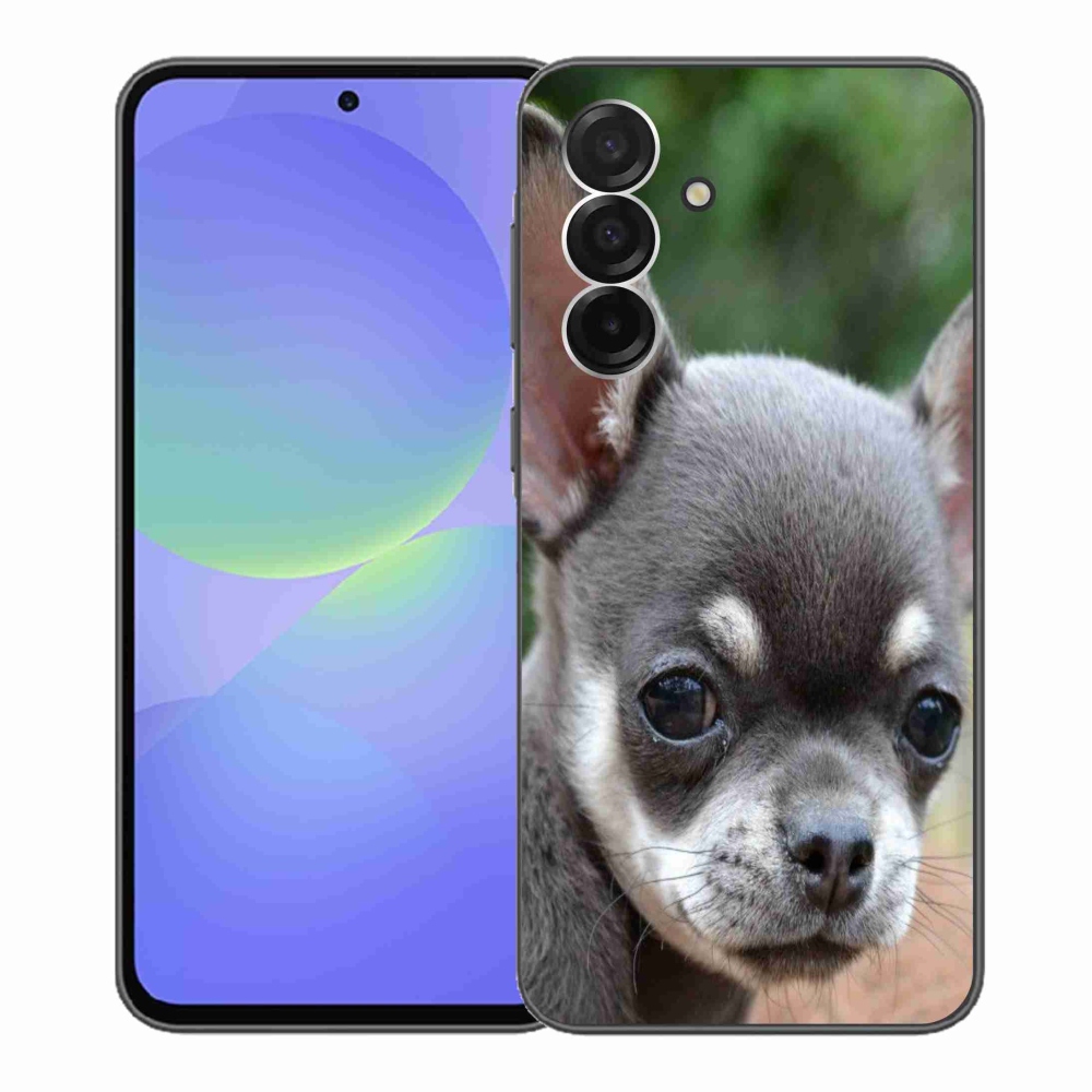 Gél borítás mmCase Samsung Galaxy A36 5G - chihuahua - Samsung Galaxy A36 5G - chihuahua