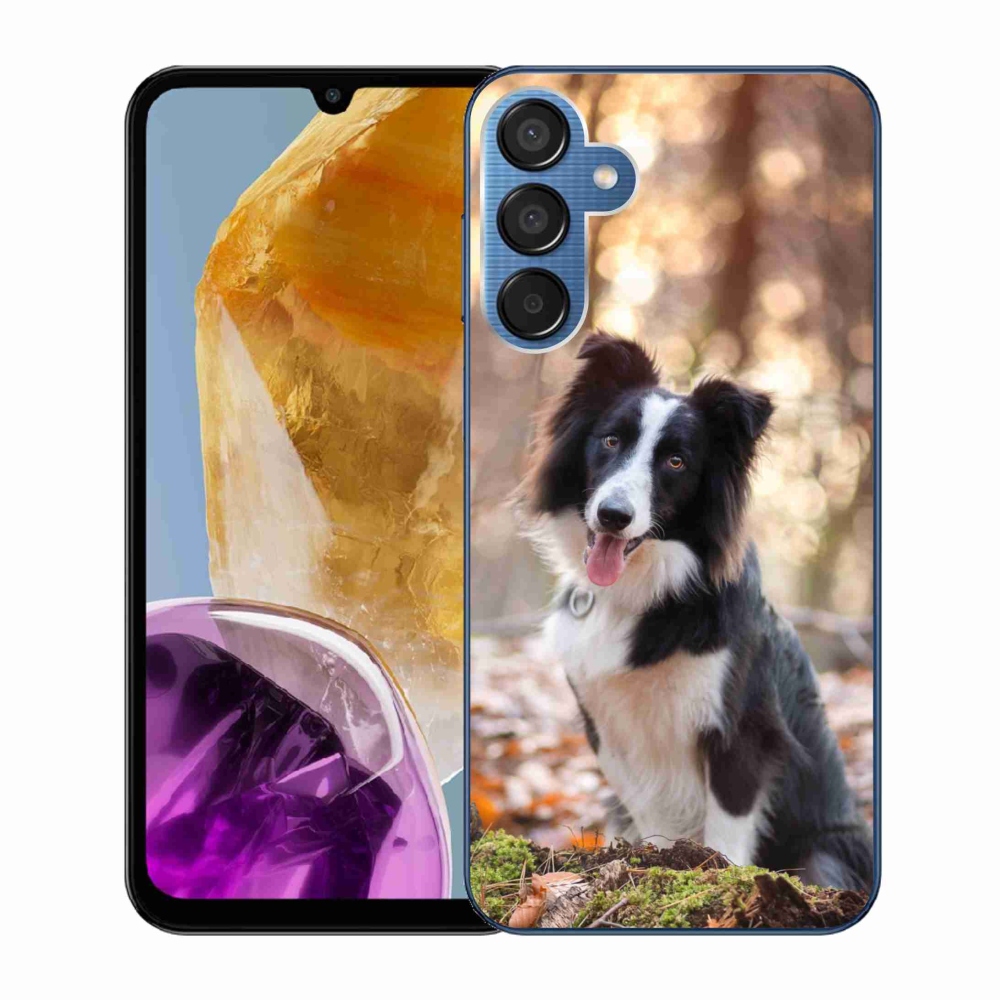 Gél tok mmCase Samsung Galaxy M15 5G - border colie 1