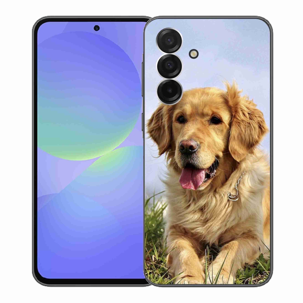 Gél borítás mmCase Samsung Galaxy A36 5G - arany retrieverhez