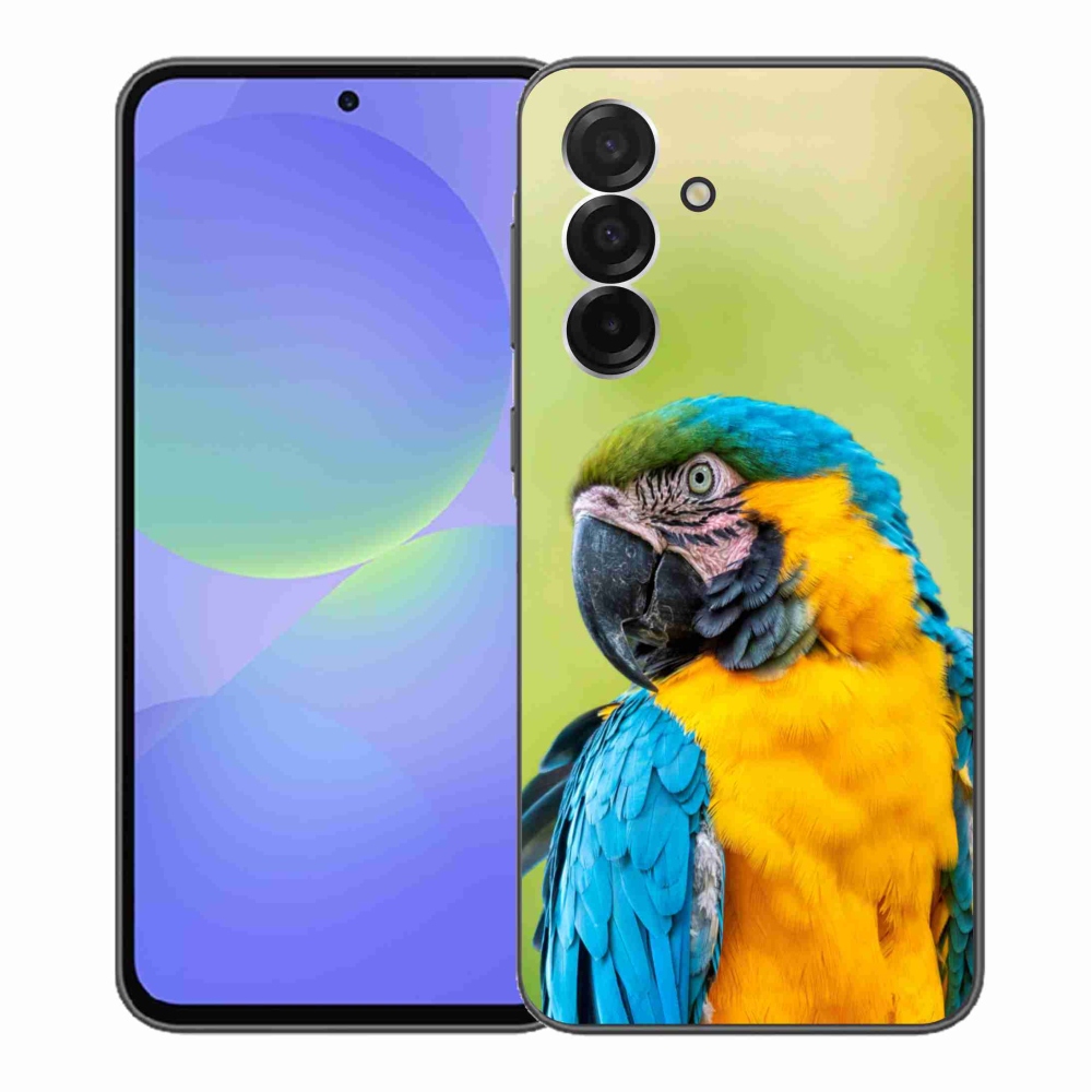 Gél borítás mmCase Samsung Galaxy A36 5G - papagáj ara 2