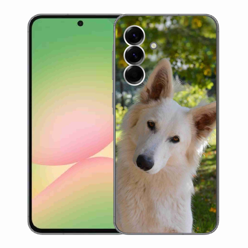 Gél védőhuzat mmCase Samsung Galaxy A56 5G - fehér svájci juhász 1