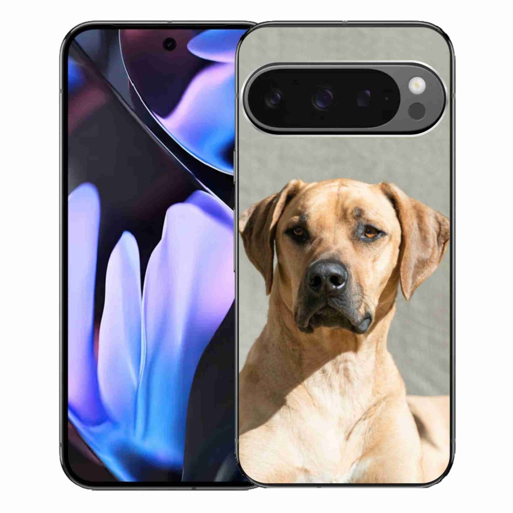 Gél borítás mmCase a Google Pixel 9 Pro XL-hez - ridgeback