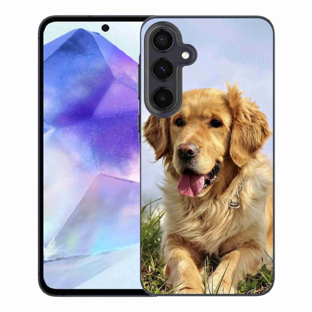 Gél tok mmCase Samsung Galaxy A55 5G - arany retrieverhez