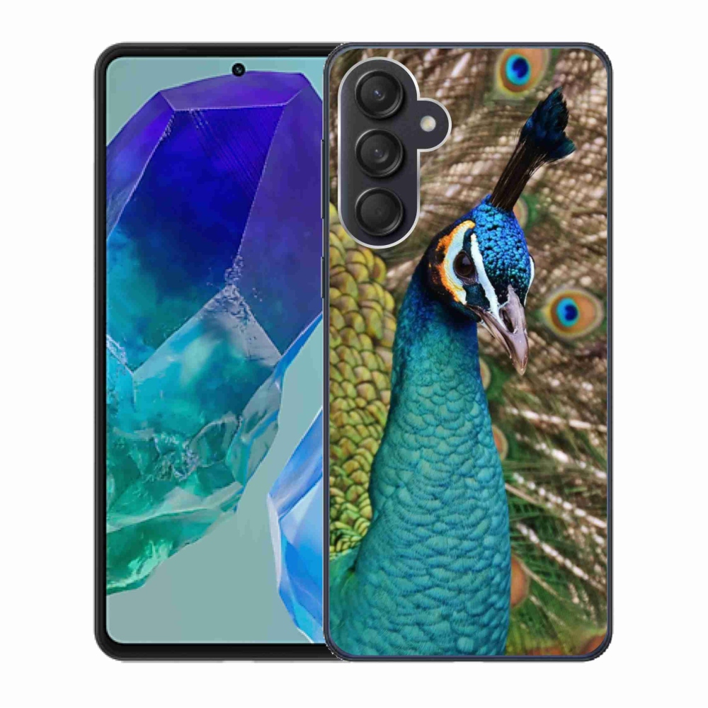 Zselés borítás mmCase Samsung Galaxy M55 5G - páva