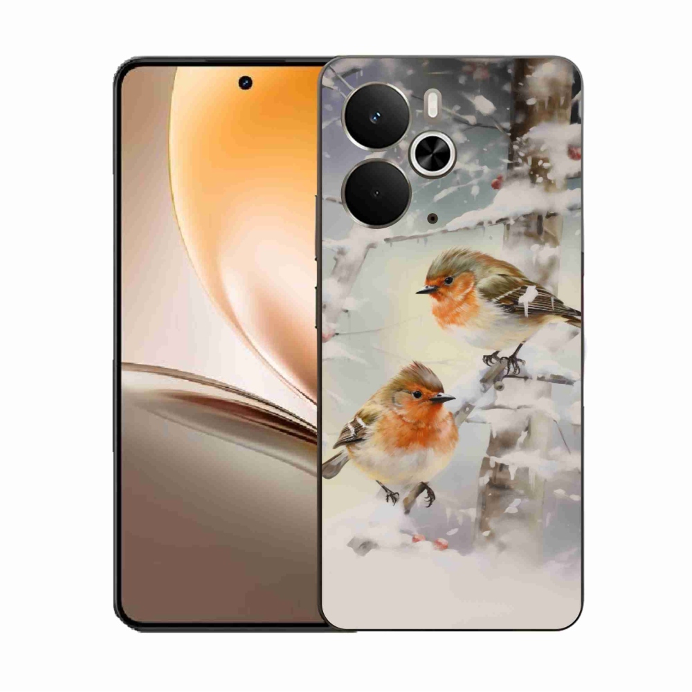 Gél borítás mmCase a Realme 14 5G készülékhez - madarak télen