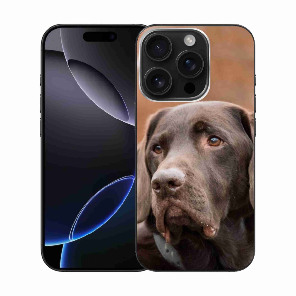 Gél tok mmCase iPhone 16 Pro készülékre - barna labrador