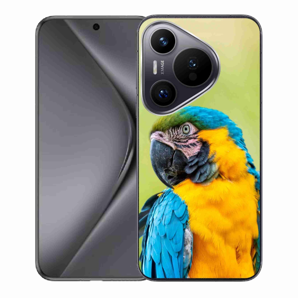 Gél tok mmCase a Huawei Pura 70 készülékhez - papagáj ara 2