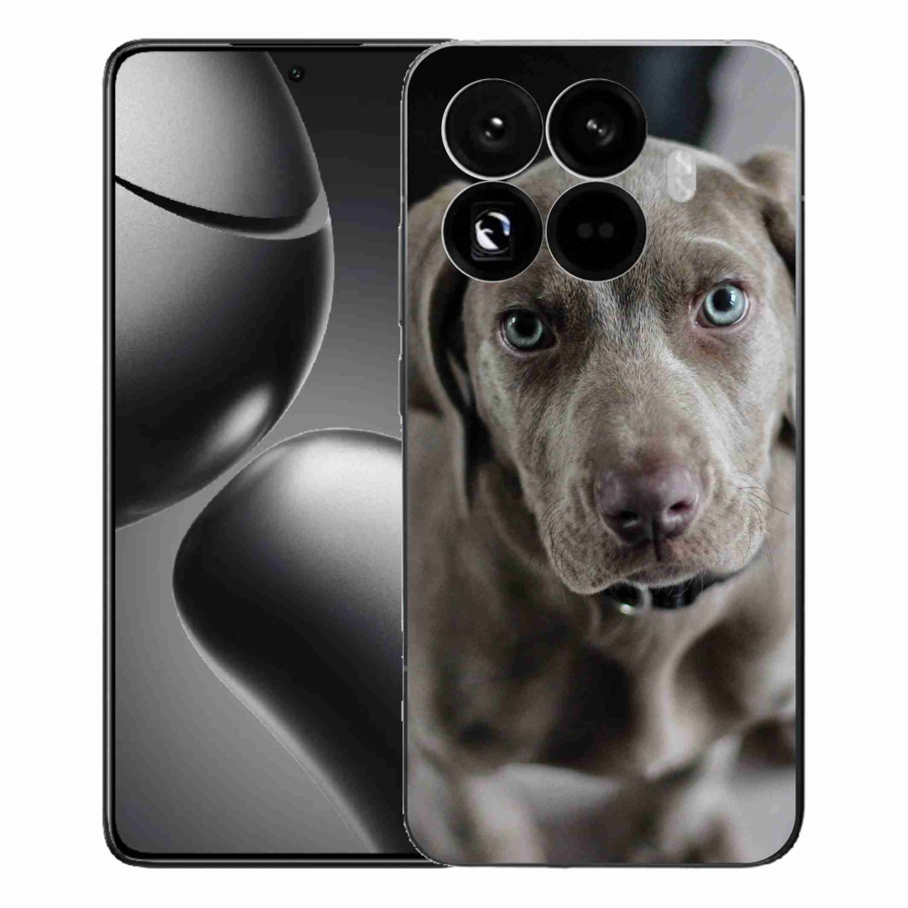 Gélburkolat mmCase a Xiaomi 15T Pro számára - az arany retriever