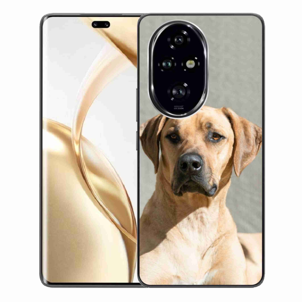 Zselés borítás mmCase a Honor 200 Pro 5G készülékhez - ridgeback
