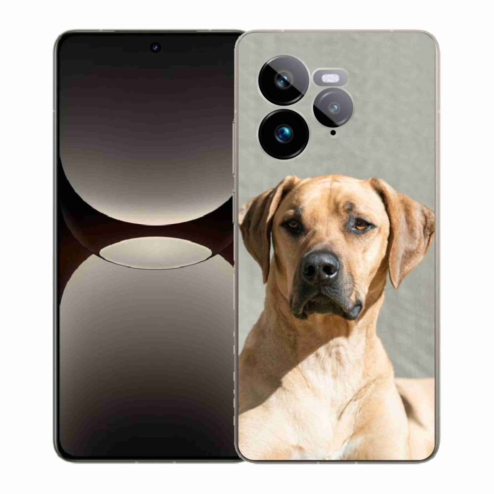 Gél borítás mmCase a Realme GT 7 Pro 5G számára - ridgeback
