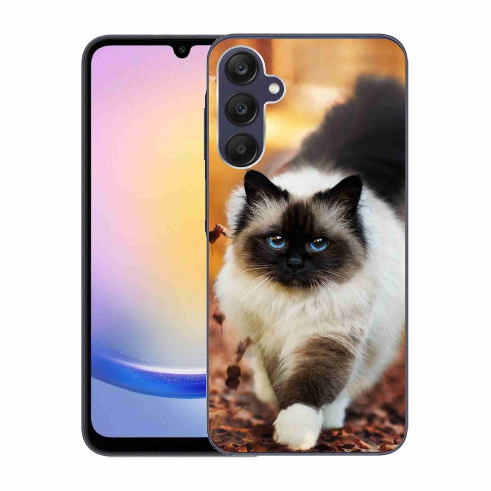 Gél tok mmCase a Samsung Galaxy A25 5G készülékhez - macska