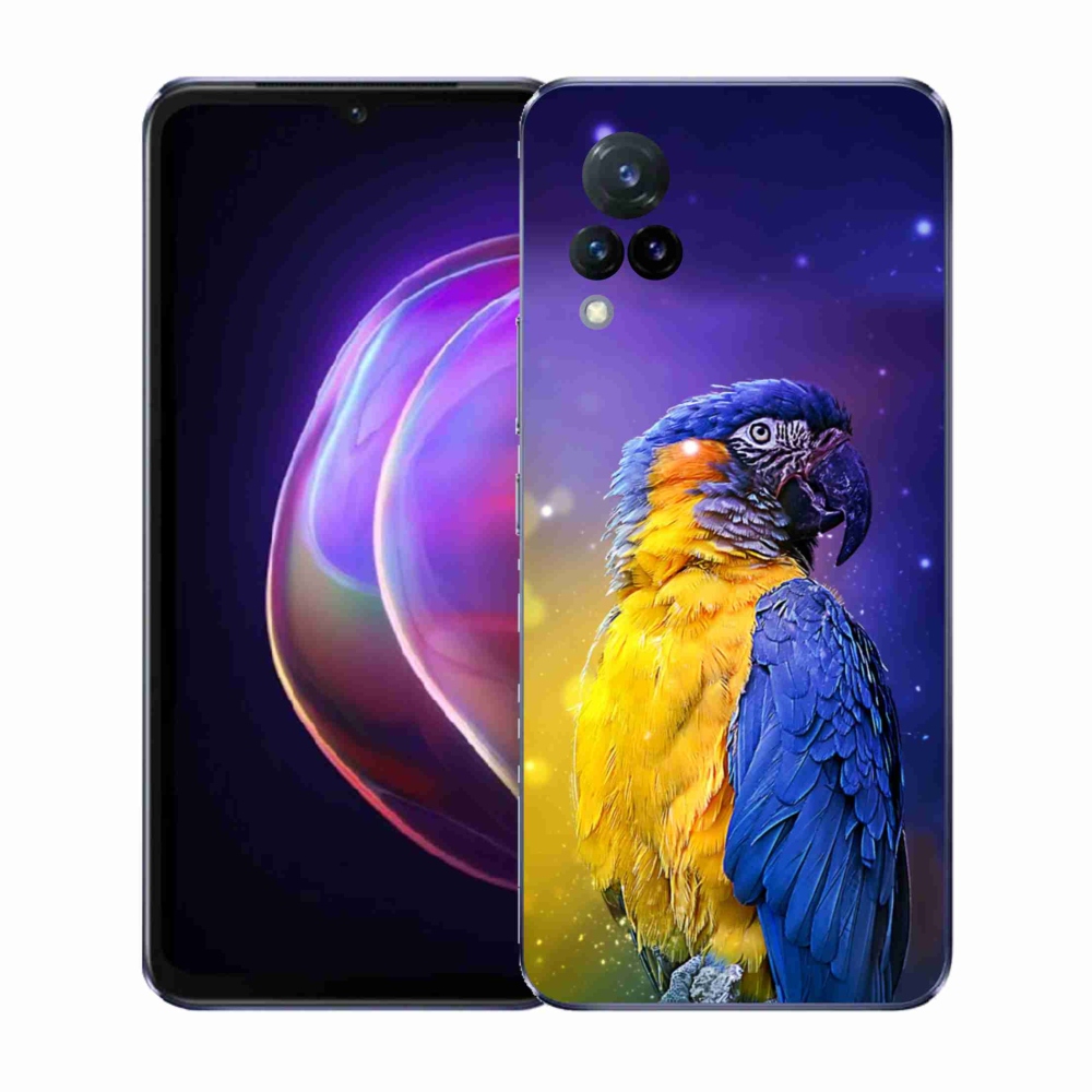 Gél borítás mmCase a Vivo V21 4G/5G készülékhez - papagáj ara 1
