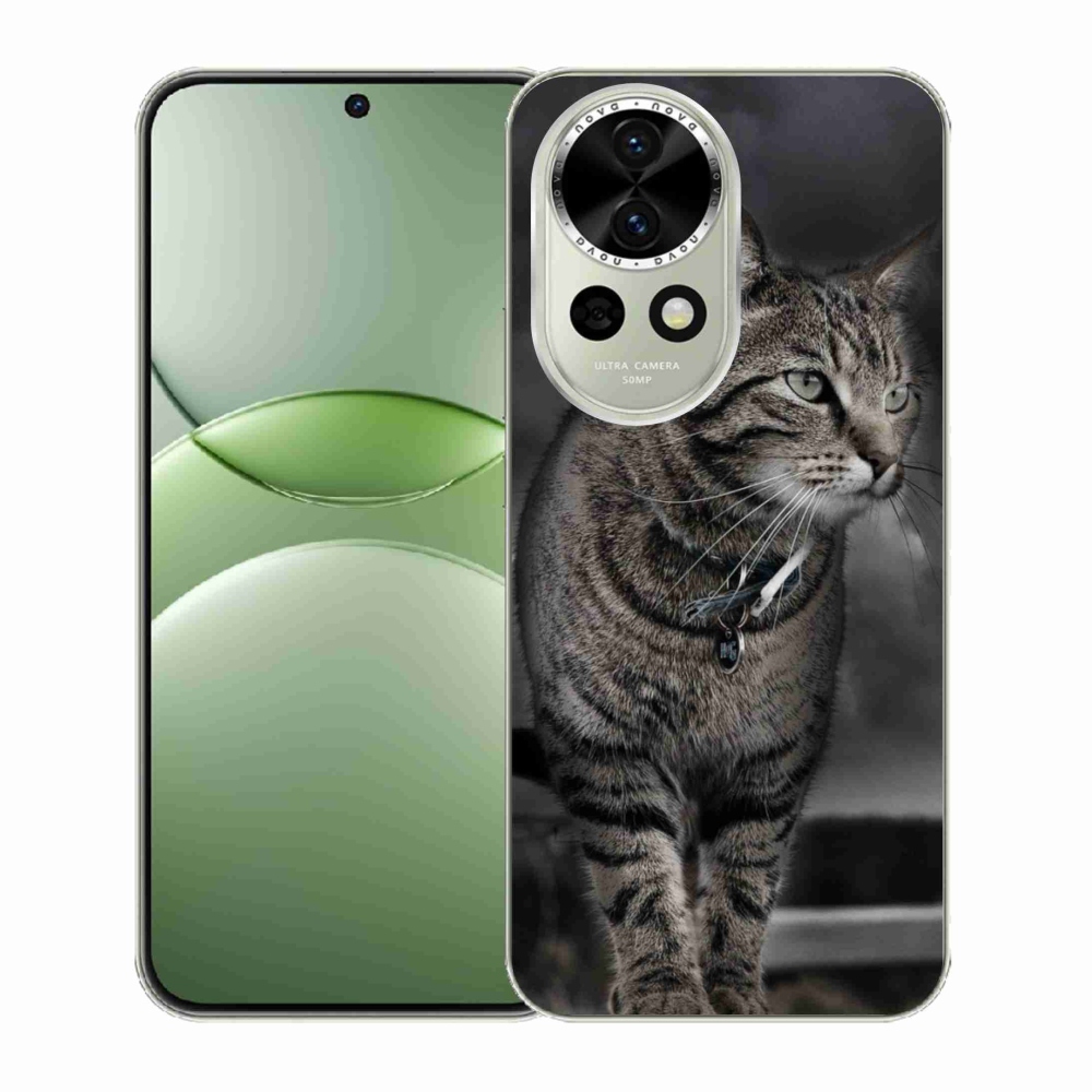 Gél borítás mmCase a Huawei Nova 13 5G készülékhez - macska