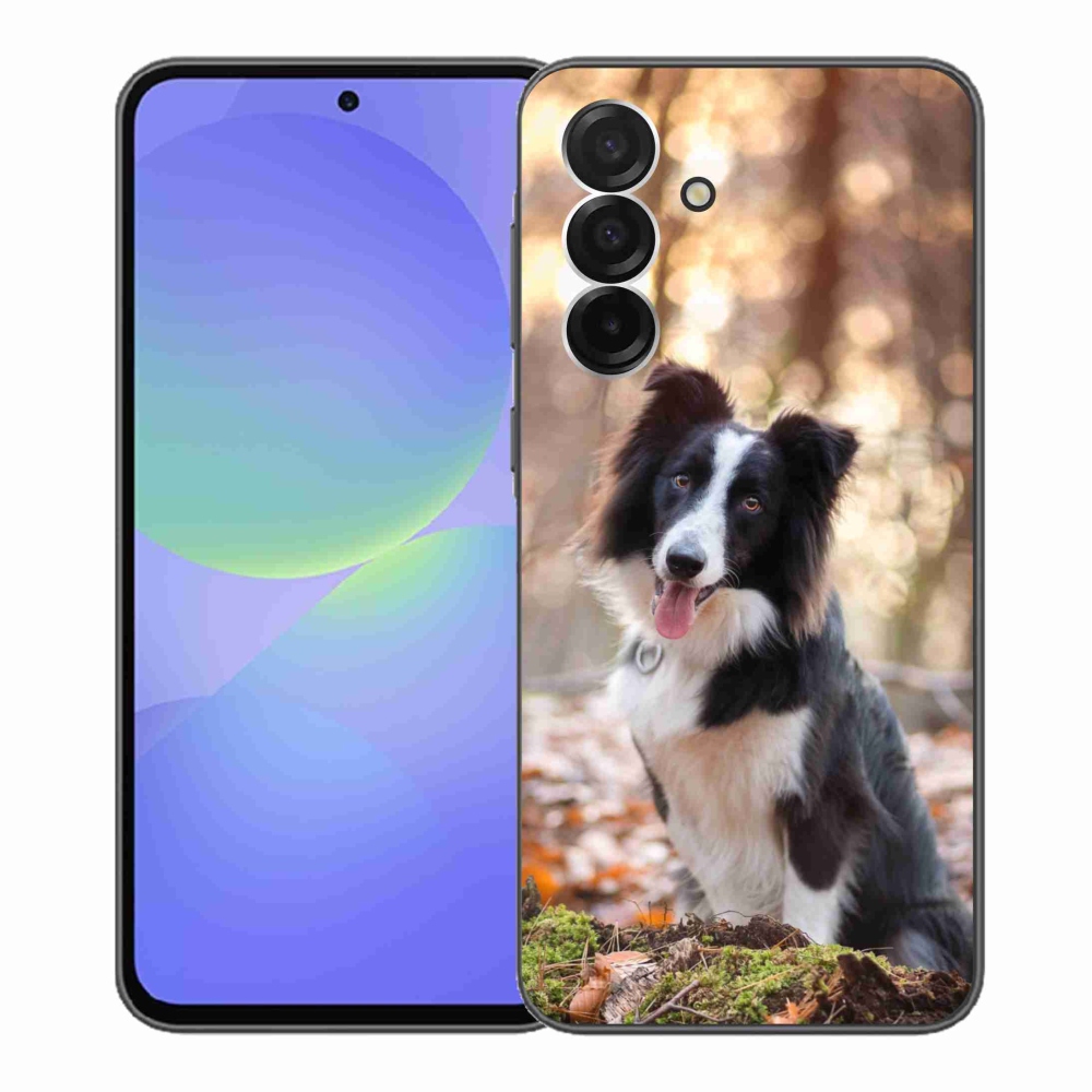 Gél védőhuzat mmCase Samsung Galaxy A36 5G - border colie 1