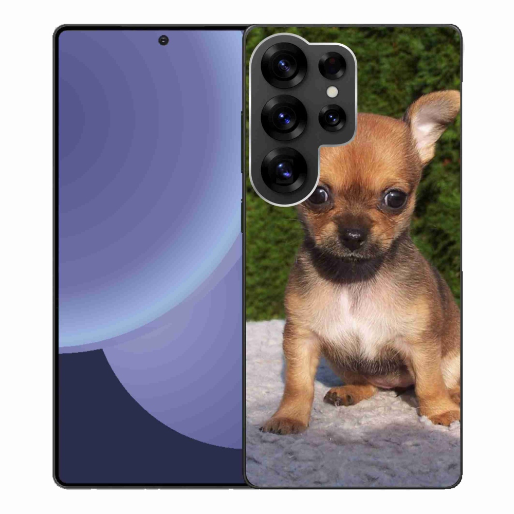 Gél borítás mmCase Samsung Galaxy S25 Ultra - chihuahua 3