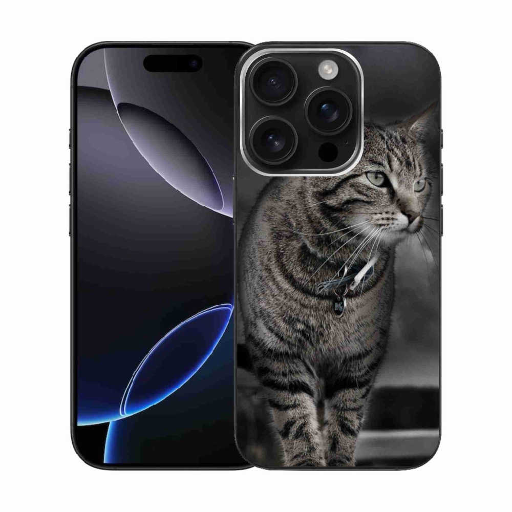 Zselés borítás mmCase iPhone 16 Pro készülékhez - macska