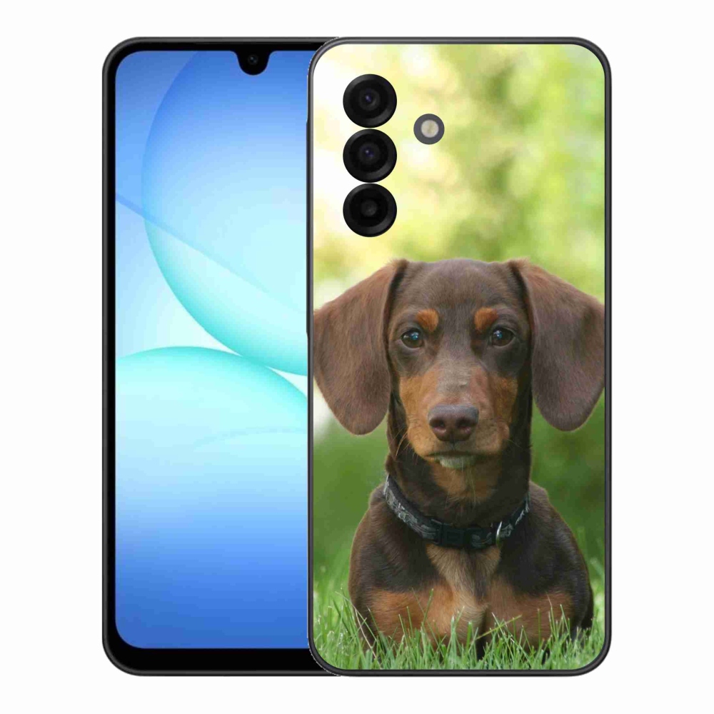 Zselés borítás mmCase Samsung Galaxy A17 5G - barna tacskóhoz