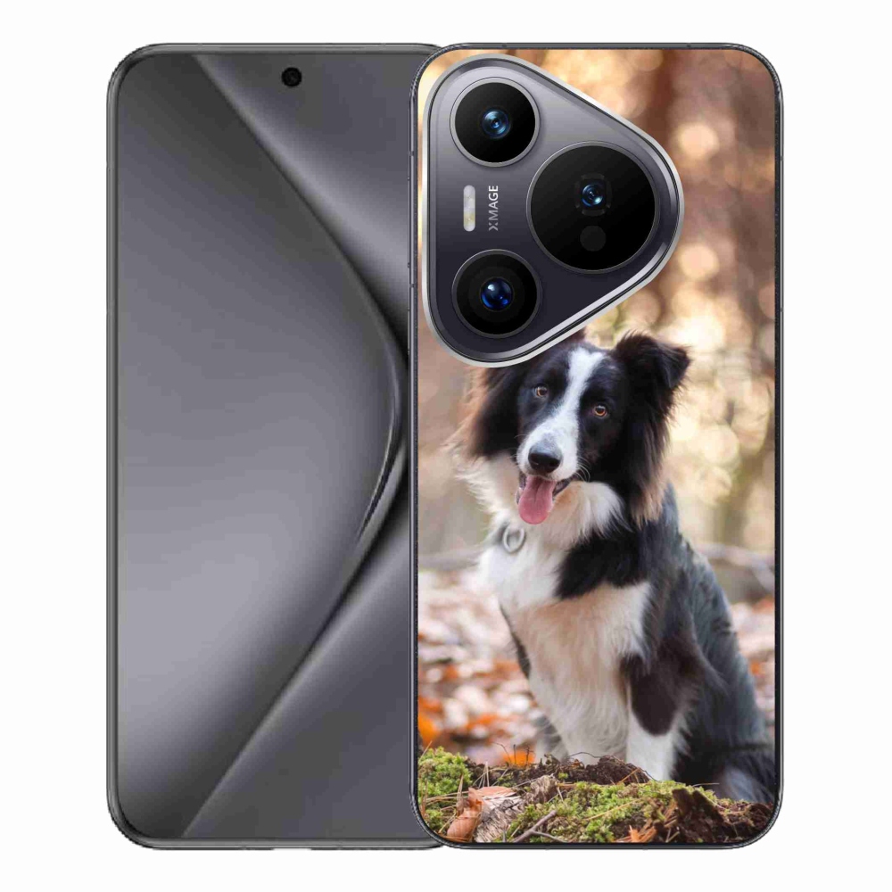 Gél tok mmCase a Huawei Pura 70 Pro készülékhez - border collie 1