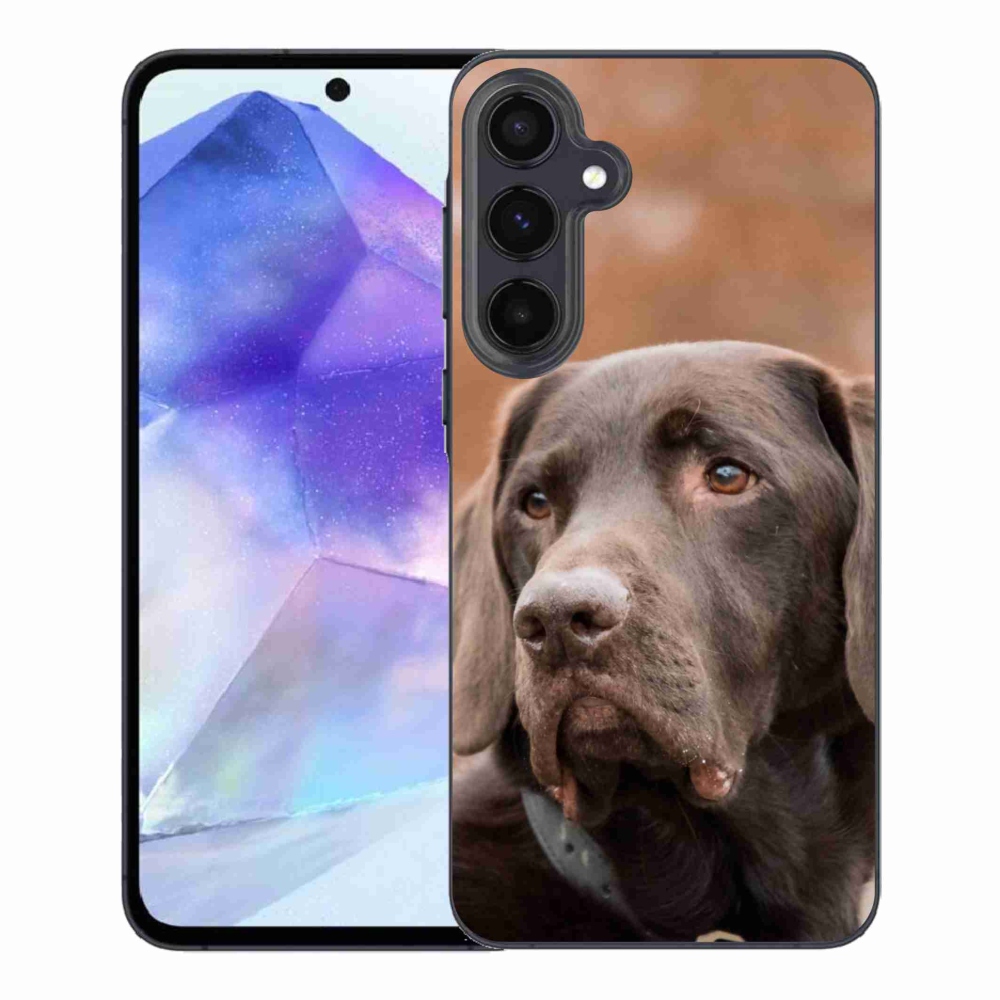 Gél tok mmCase a Samsung Galaxy A55 5G készülékhez - barna labrador