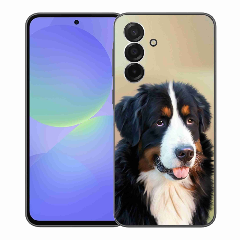Gél borítás mmCase Samsung Galaxy A36 5G - Berni hegyi kutya számára