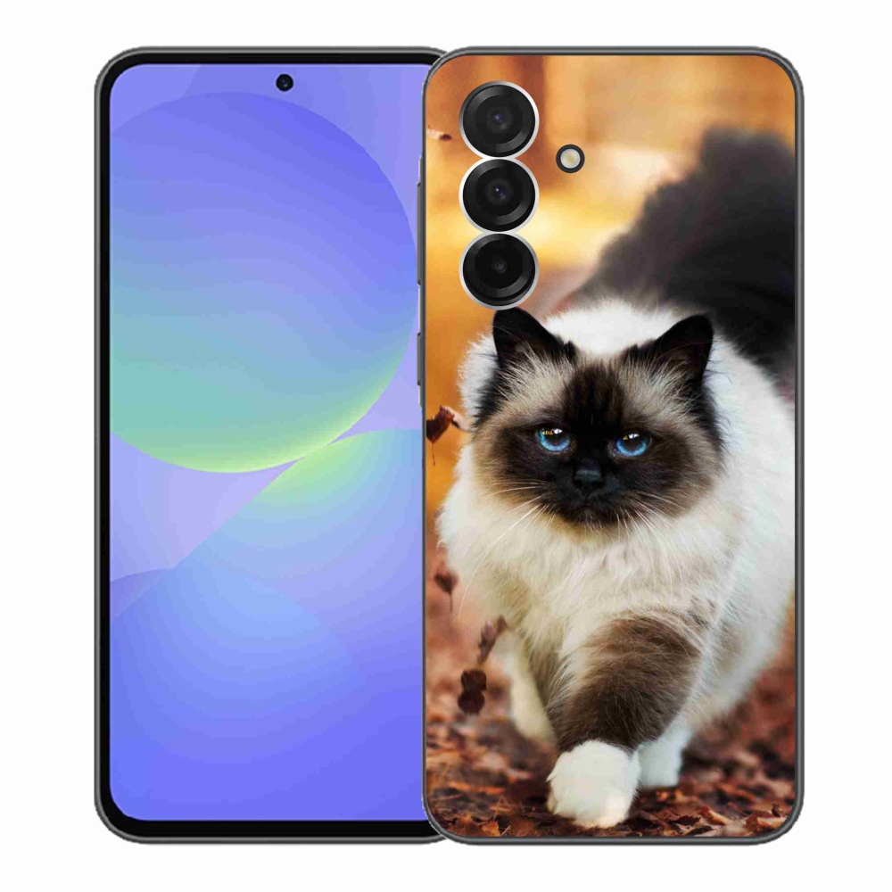 Zselés borítás mmCase Samsung Galaxy A36 5G - macska