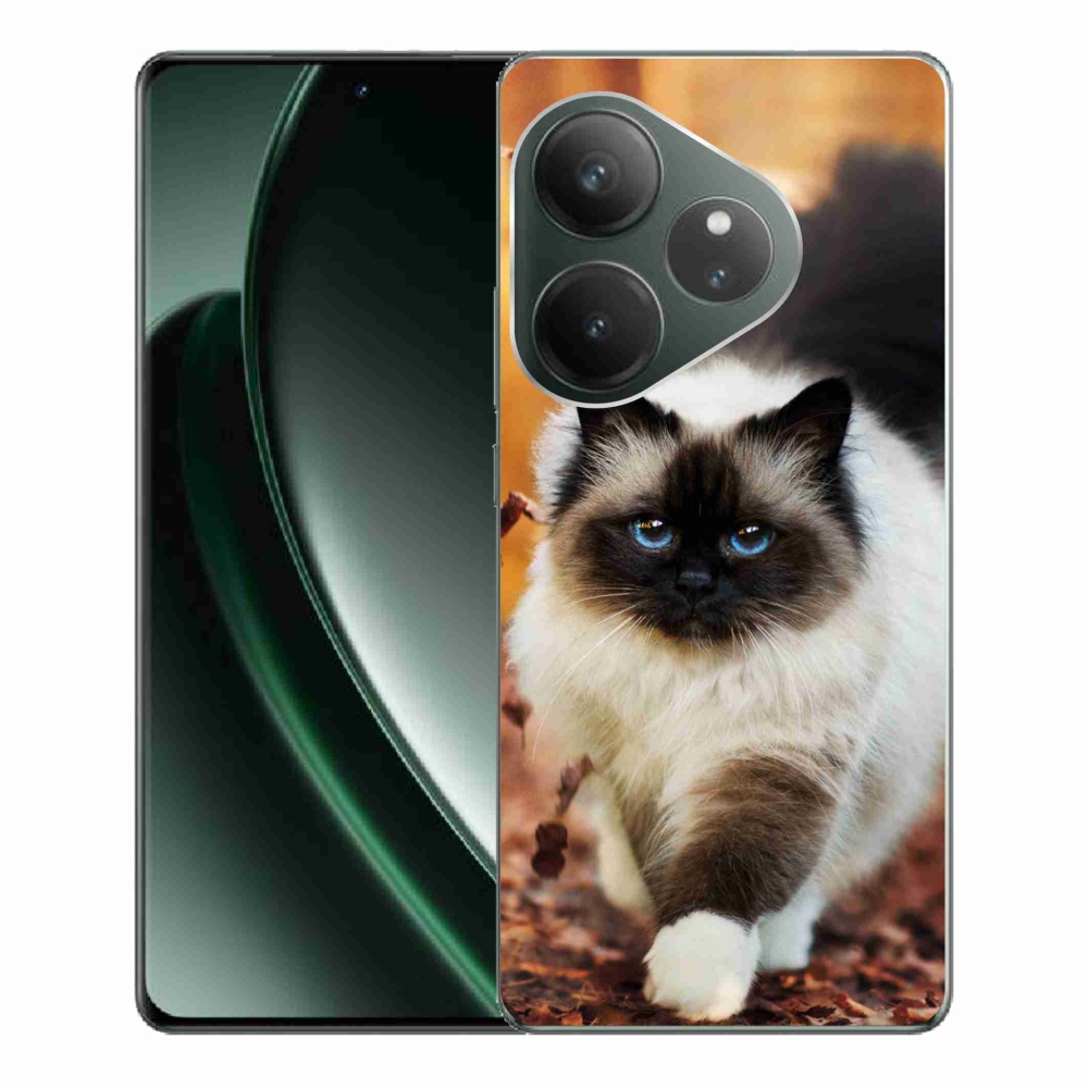 Gél tok mmCase a Realme GT 6 5G/GT 6T 5G számára - cat