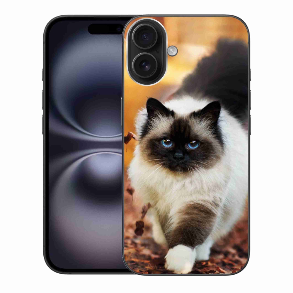 Gél tok mmCase iPhone 16 Plus készülékhez - macska