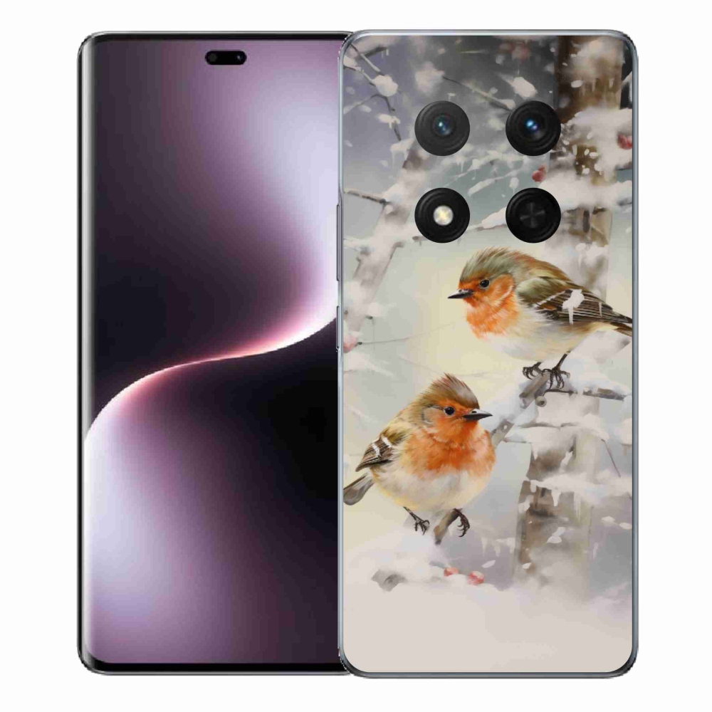 Gél borítás mmCase a Honor Magic 7 Lite 5G számára - madarak télen