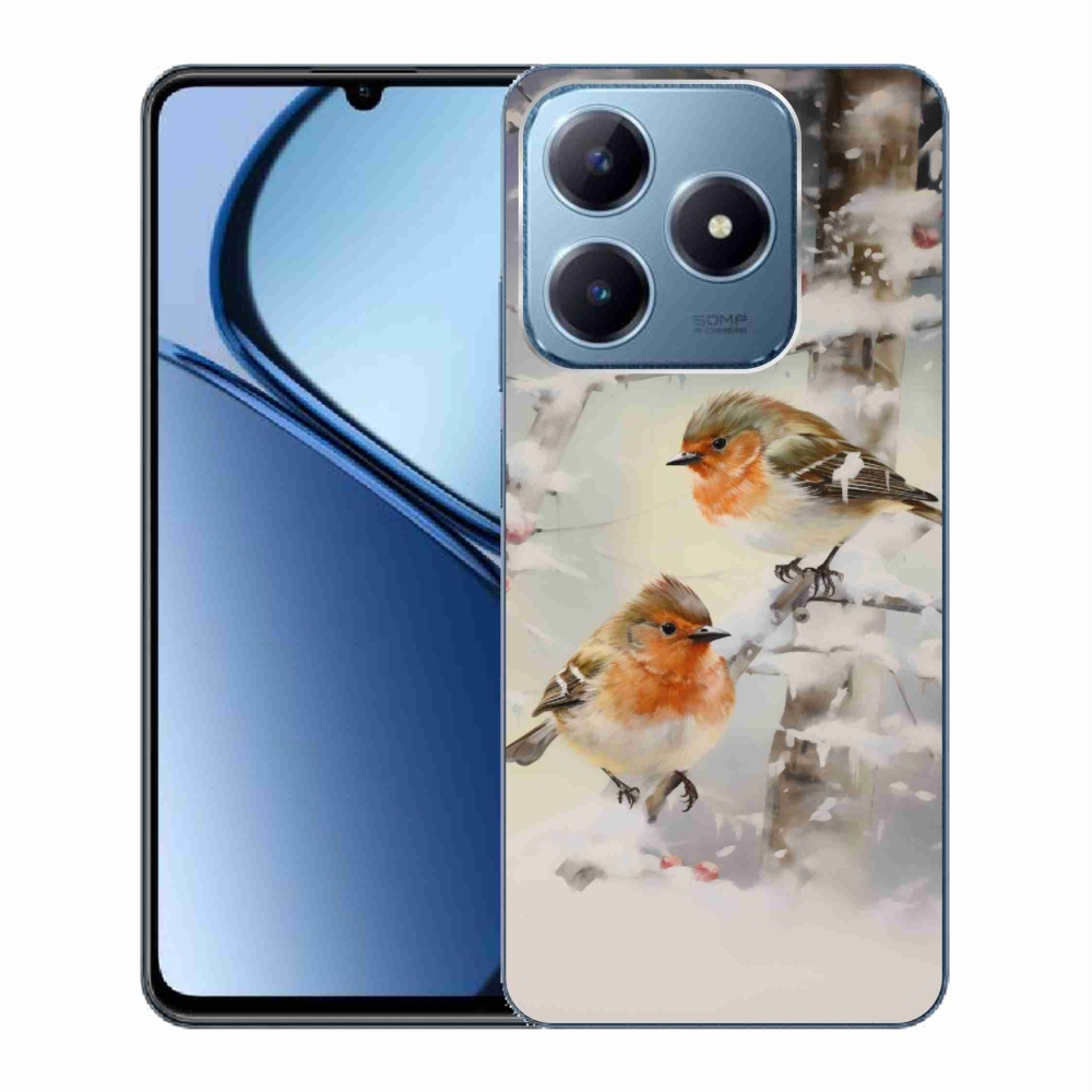 Gél borítás mmCase a Realme C63 készülékhez - madarak télen