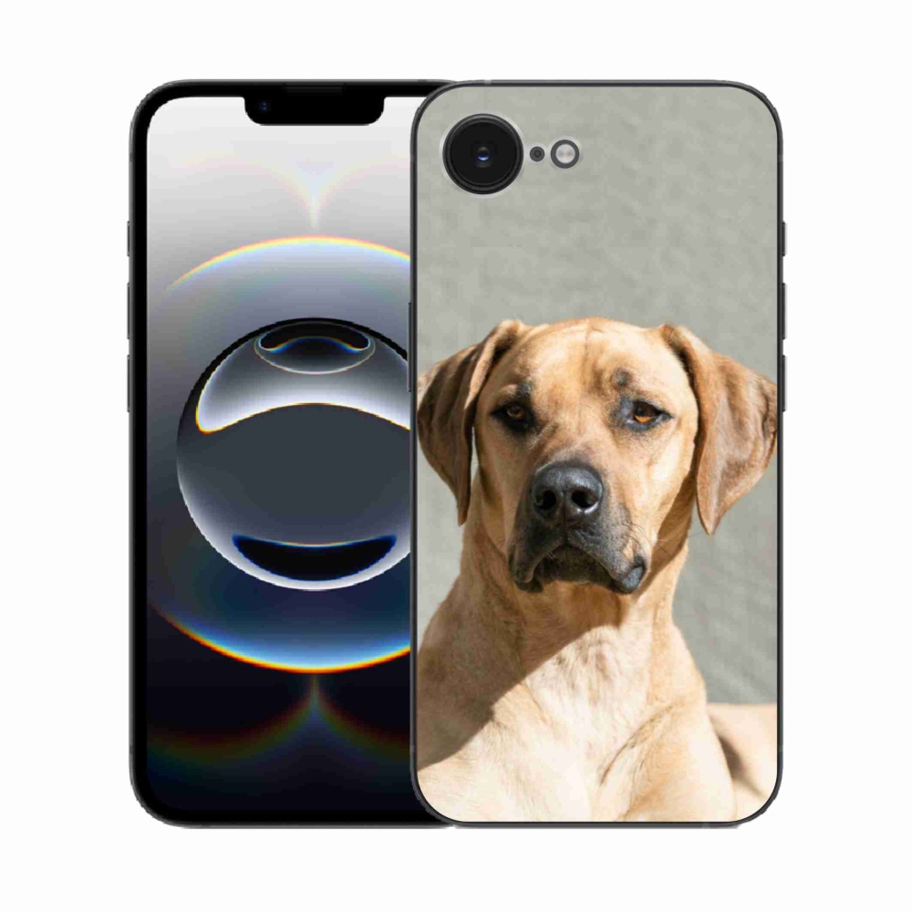 Gél borítás mmCase iPhone 16e készülékhez - ridgeback