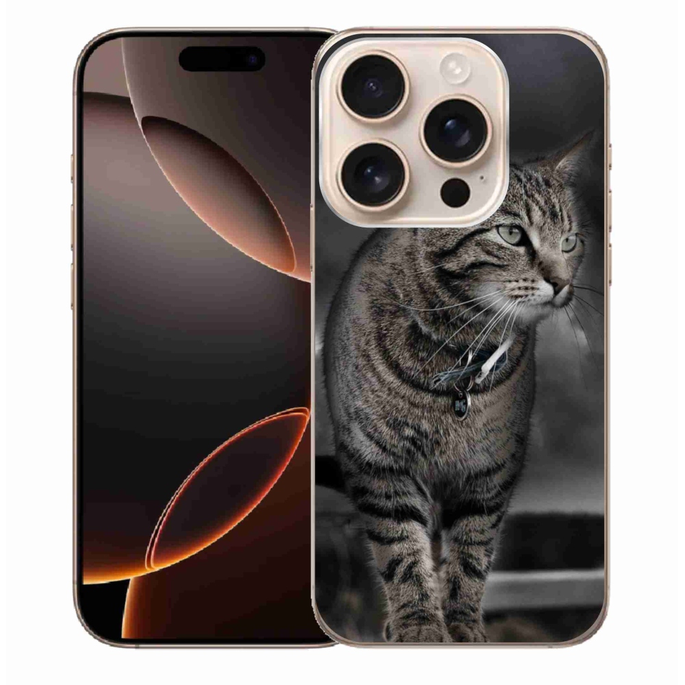 Zselés borítás mmCase iPhone 16 Pro Max készülékhez - macska